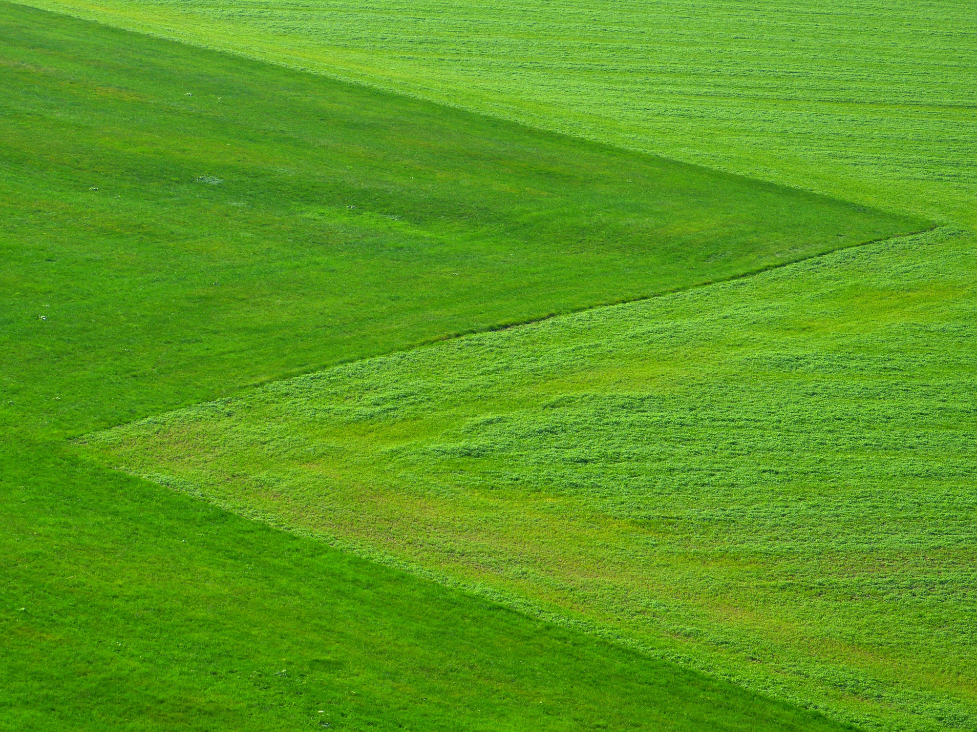 Green Grass Field